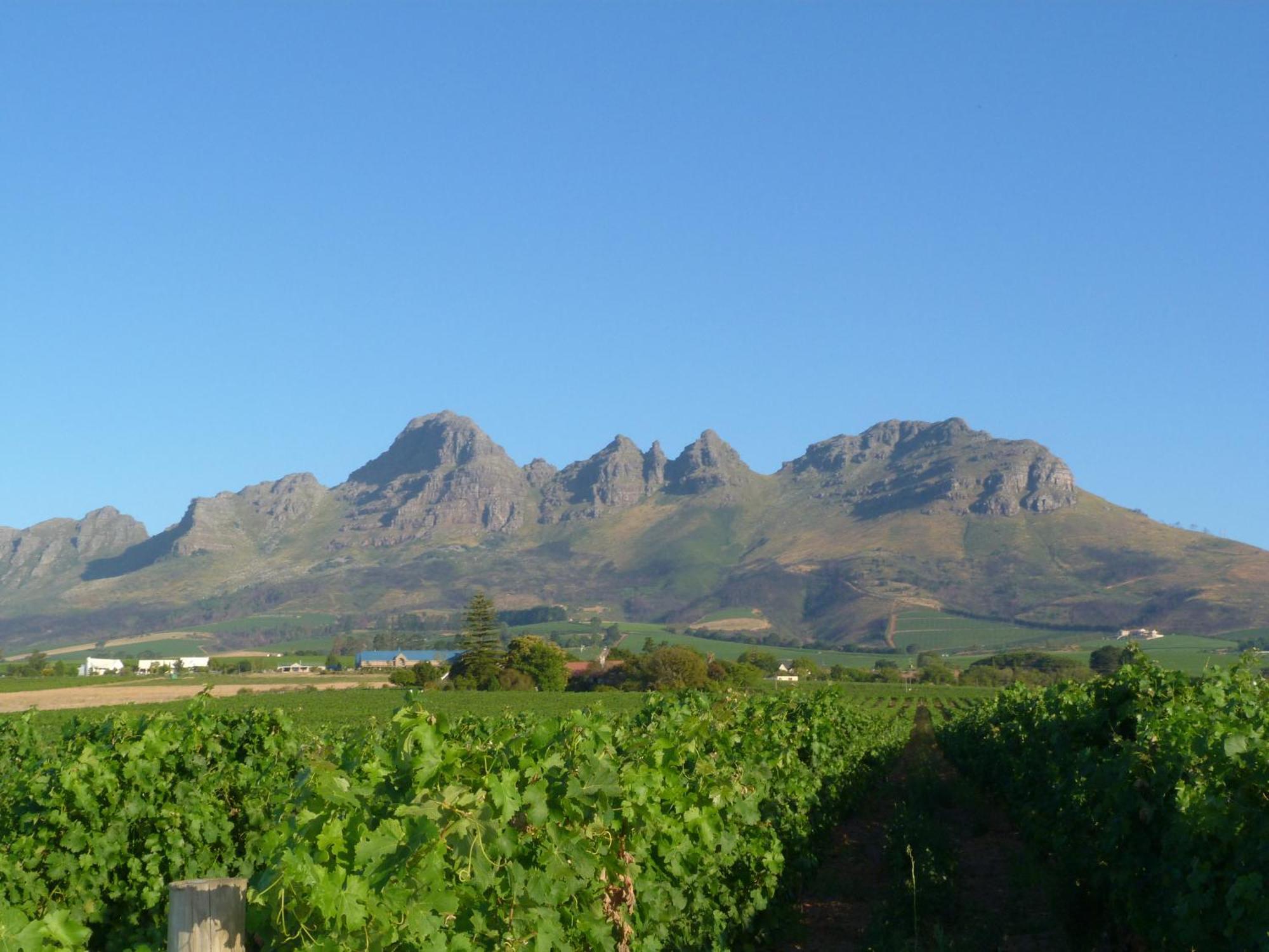 Eikendal Lodge Stellenbosch Extérieur photo