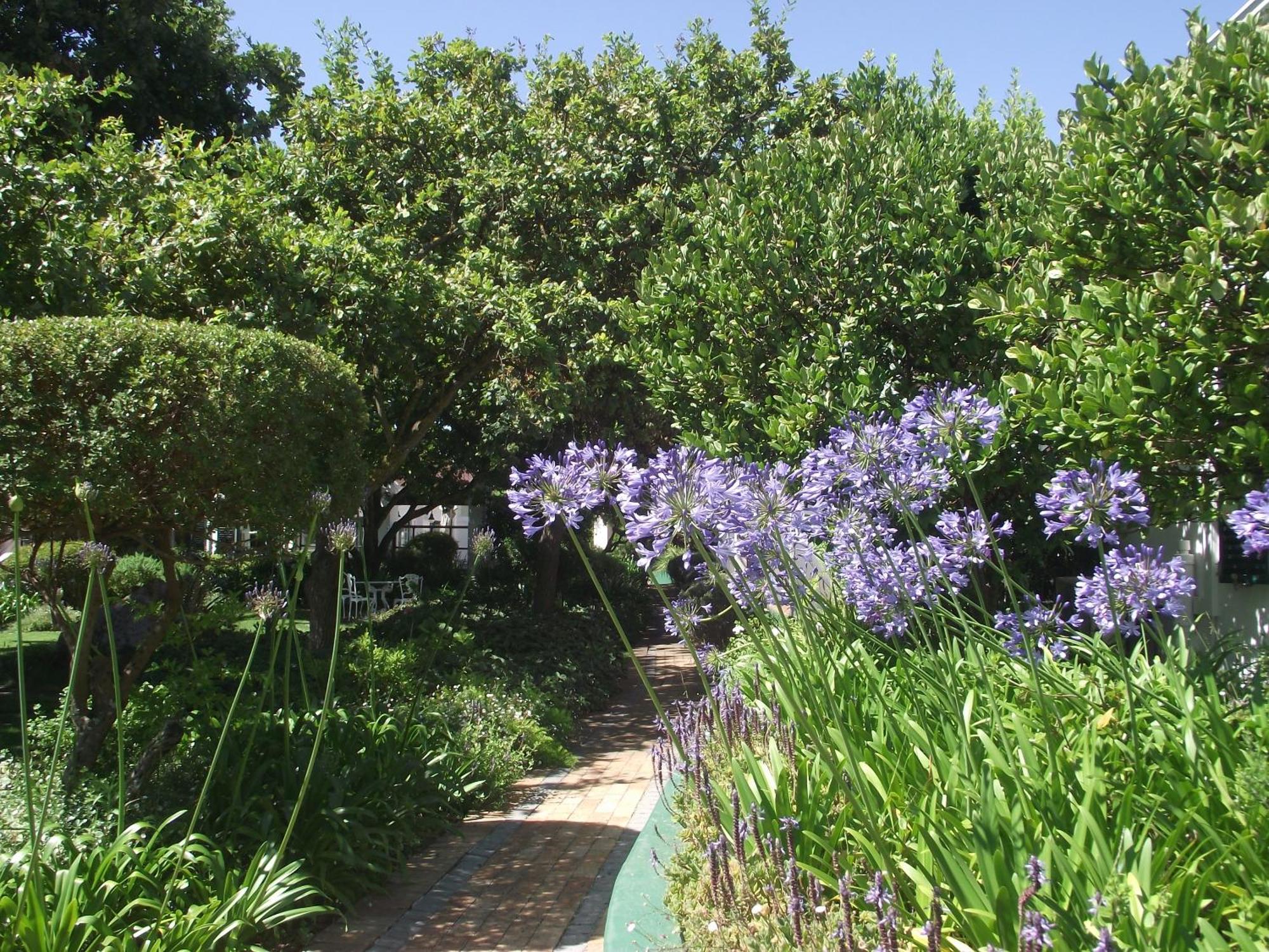 Eikendal Lodge Stellenbosch Extérieur photo